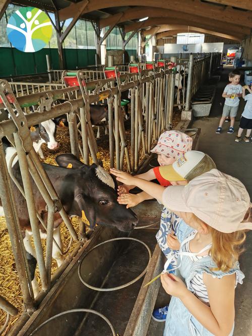 Sortie à la ferme pour la classe de petite section